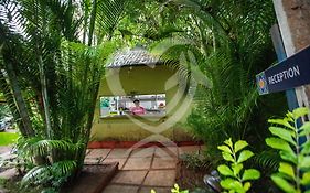 Hotel Curlies Zulu Land By Bellostay  3*